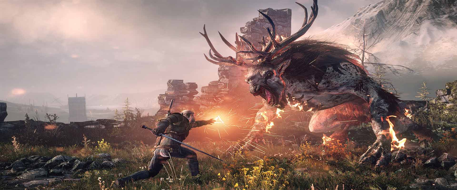 witcher